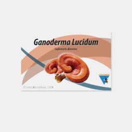 GANODERMA LUCIDUM 20 AMPOLAS